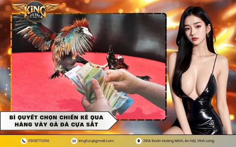 Bí quyết chọn chiến kê qua hàng vảy gà đá cựa sắt