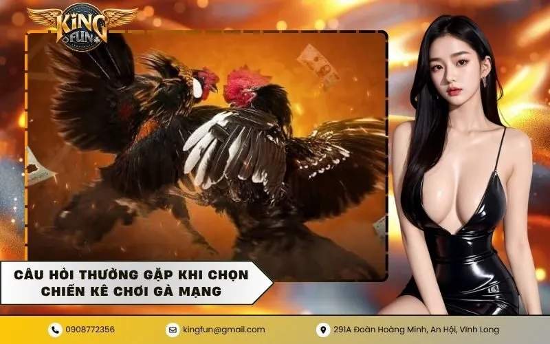 Câu hỏi thường gặp khi chọn chiến kê chơi gà mạng