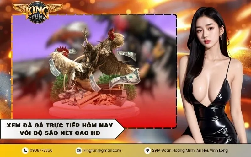 Đá gà trực tiếp hôm nay