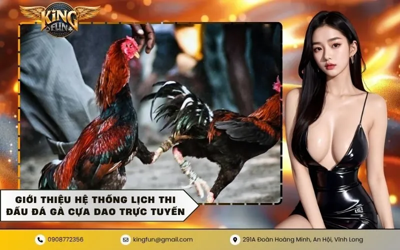 Giới thiệu hệ thống lịch thi đấu đá gà cựa dao trực tuyến