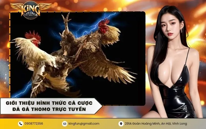 Giới thiệu hình thức cá cược đá gà thomo trực tuyến