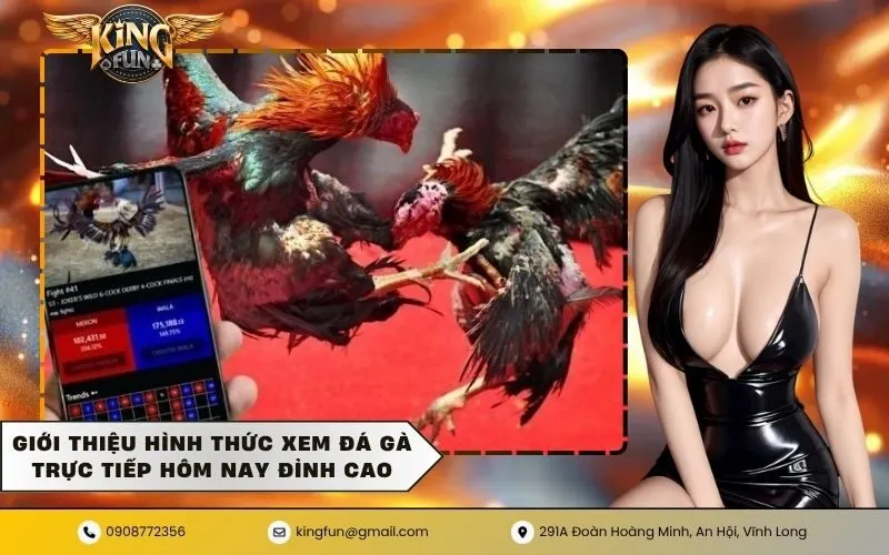 Giới thiệu hình thức xem đá gà trực tiếp hôm nay đỉnh cao