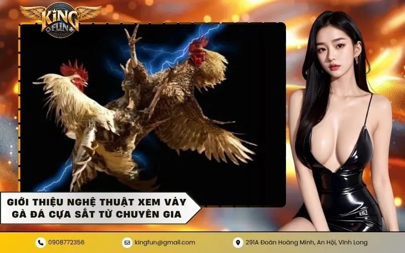 Giới thiệu nghệ thuật xem vảy gà đá cựa sắt từ chuyên gia