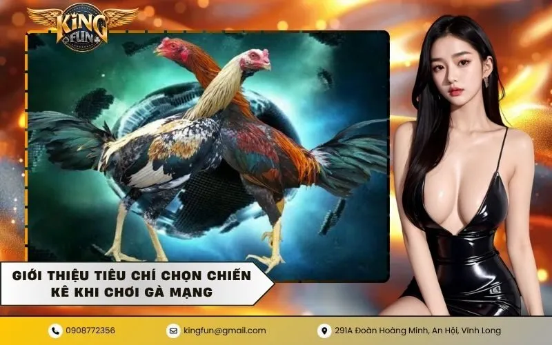 Giới thiệu tiêu chí chọn chiến kê khi chơi gà mạng