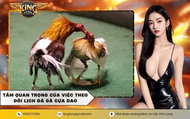 Tầm quan trọng của việc theo dõi lịch đá gà cựa dao