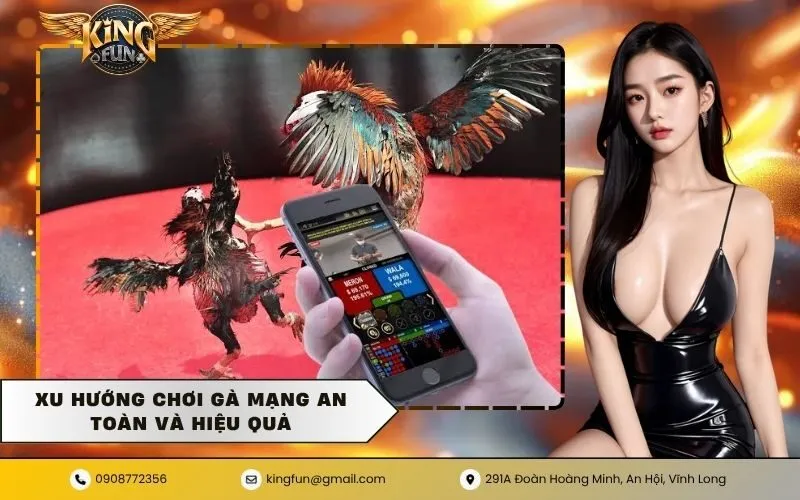 Xu hướng chơi gà mạng an toàn và hiệu quả